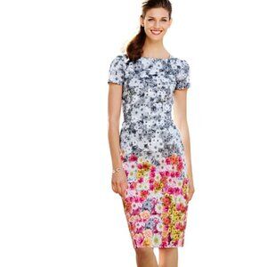 Talbots Floral Cotton Square Neckline Sheath Dress Size 10p